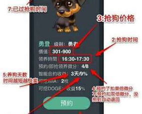 深圳區塊狗多幣種錢包交易軟件開發定制丨深圳區塊鏈技術開發公司